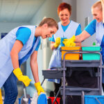 Cleaning Professionals